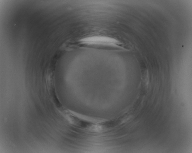 X0000081360276200702082328