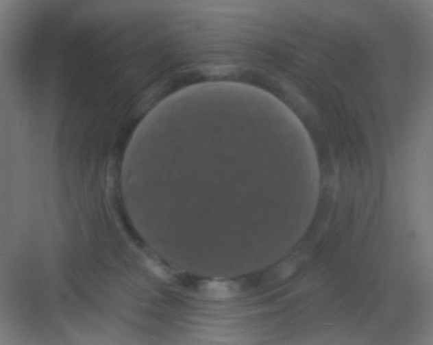 X0000081360277200702082328