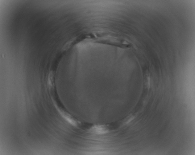X0000081360280200702082328