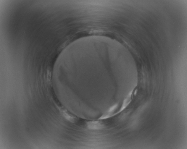 X0000081360281200702082328
