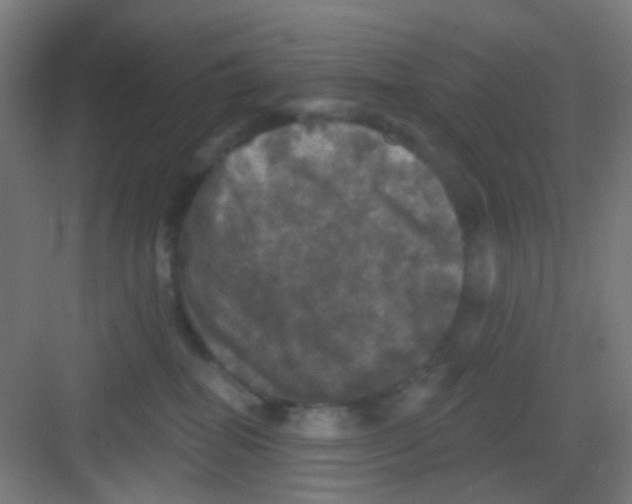 X0000081360282200702082328