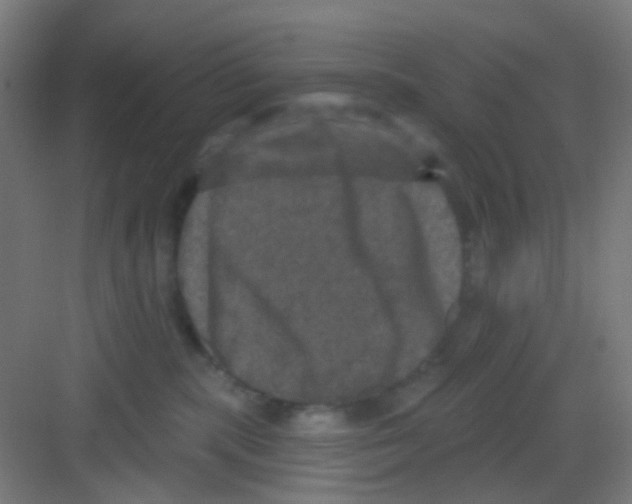 X0000081360283200702082328