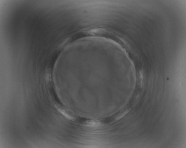 X0000081360284200702082328