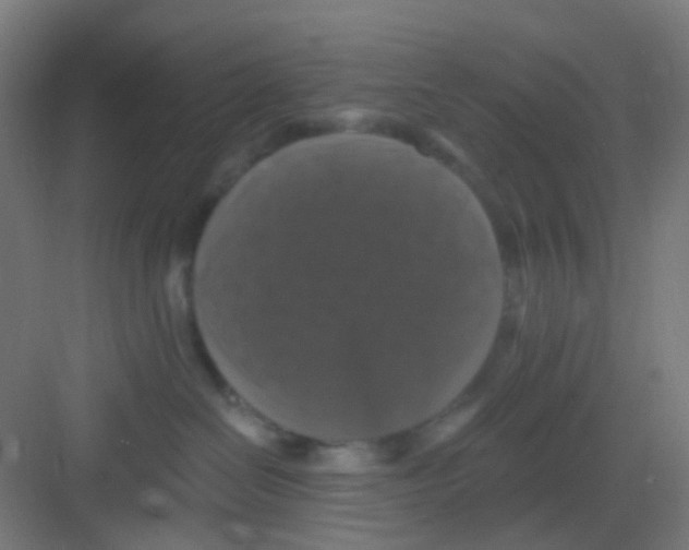 X0000081360286200702082328