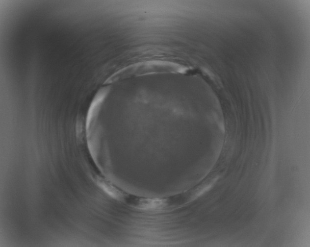 X0000081360288200702082328