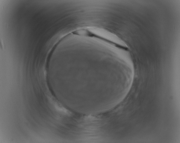 X0000081360290200702082327