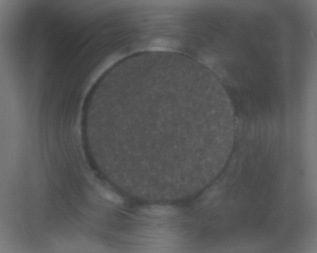 X0000081360292200702082327