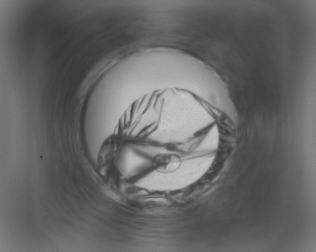 X0000081360293200702082327