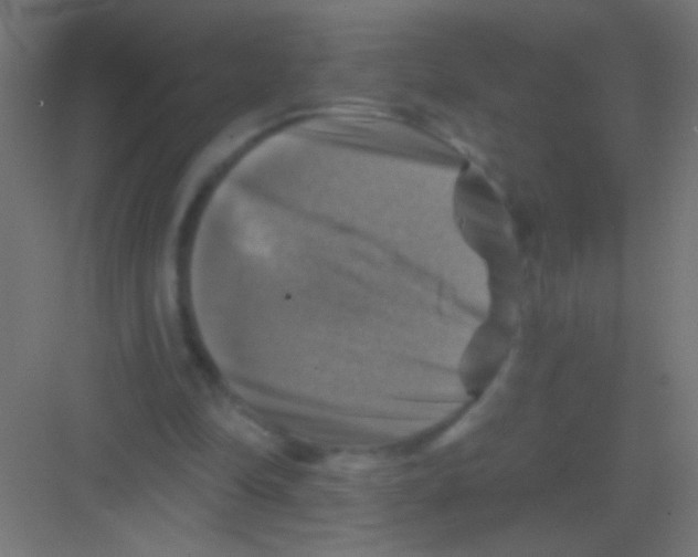 X0000081360294200702082327