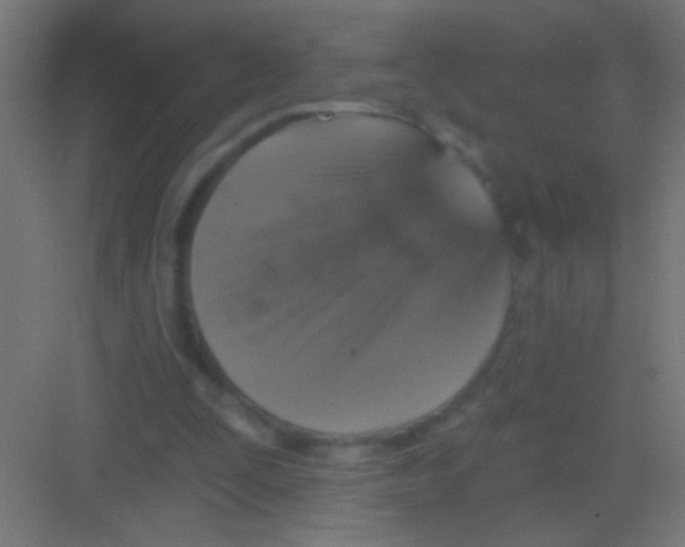 X0000081360295200702082327