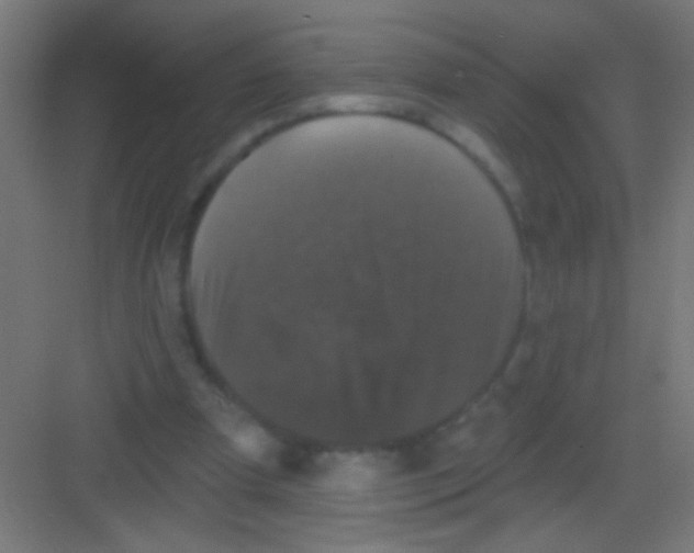 X0000081360297200702082327