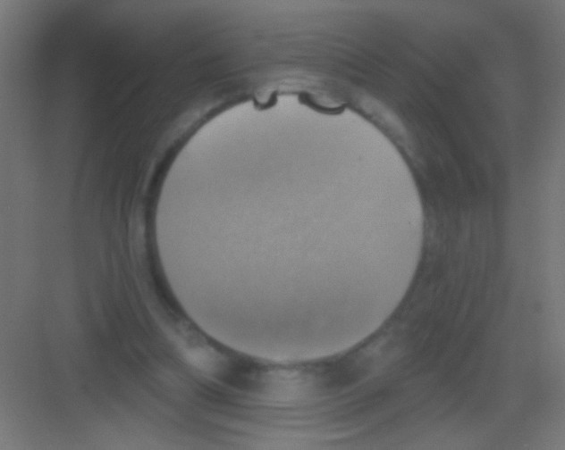 X0000081360298200702082327