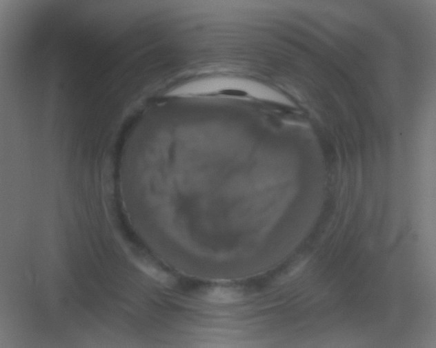 X0000081360303200702082327