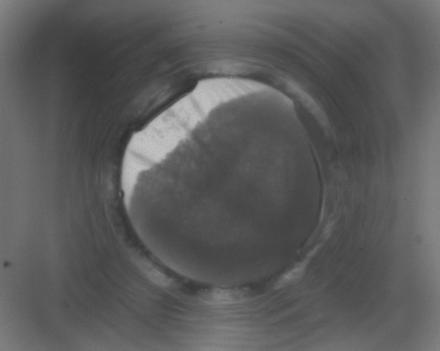 X0000081360305200702082327