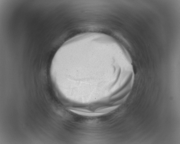 X0000081360306200702082327