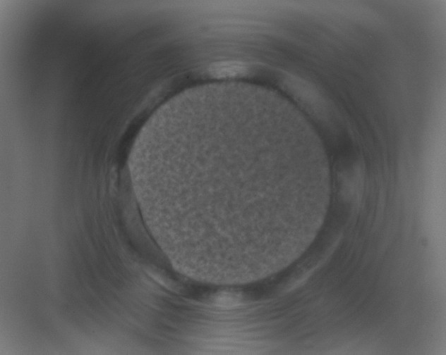 X0000081360308200702082327