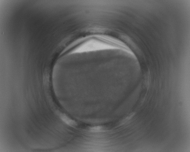 X0000081360309200702082327