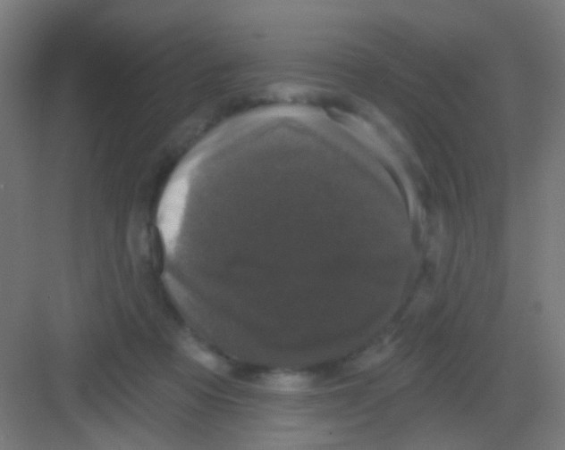 X0000081360313200702082327