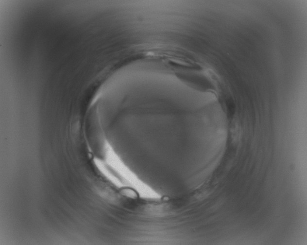 X0000081360314200702082327