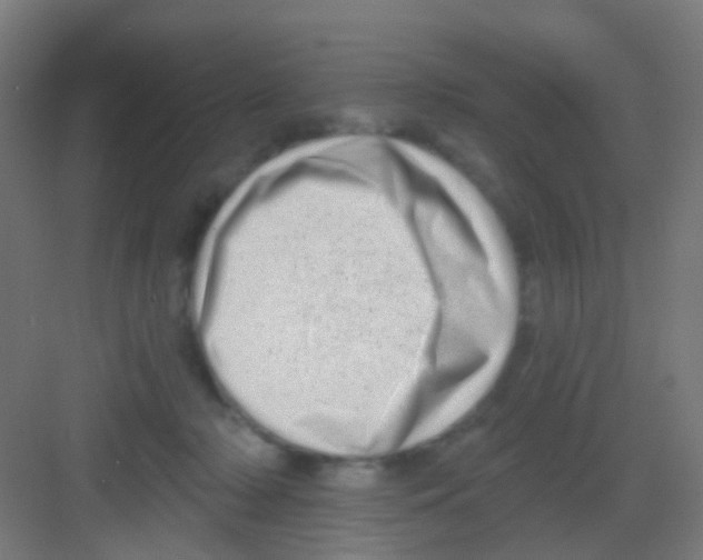 X0000081360318200702082327