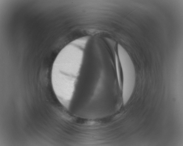 X0000081360319200702082327