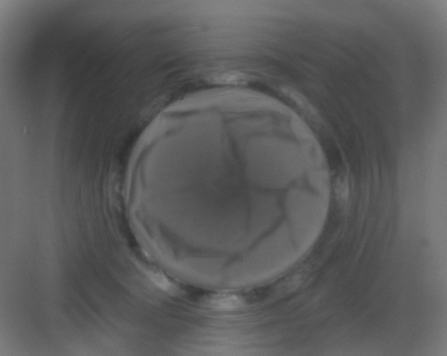 X0000081360322200702082327