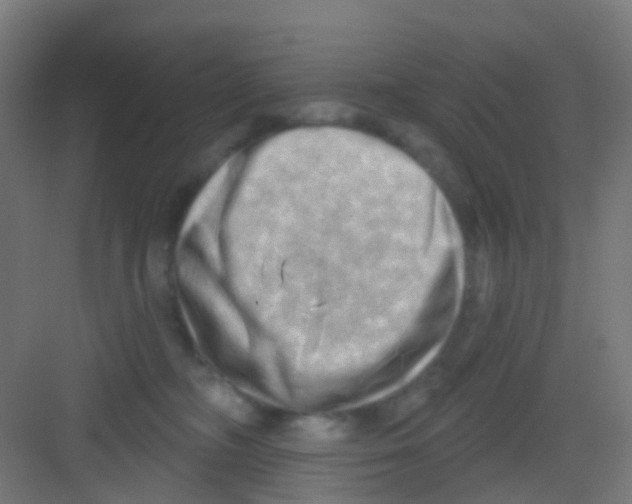 X0000081360326200702082327