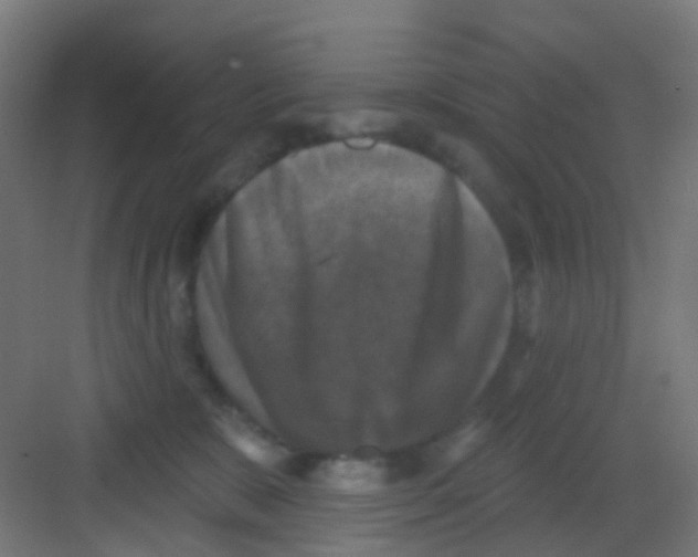 X0000081360327200702082327