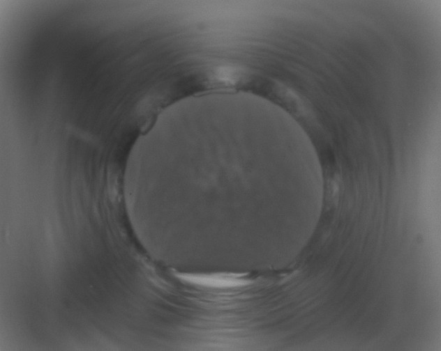 X0000081360331200702082327