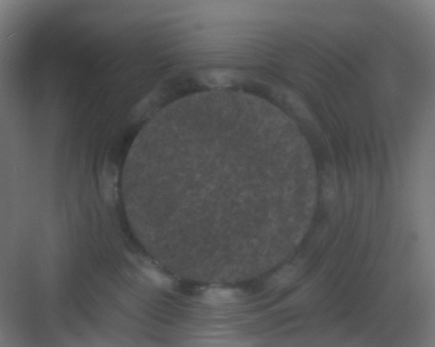 X0000081360332200702082327