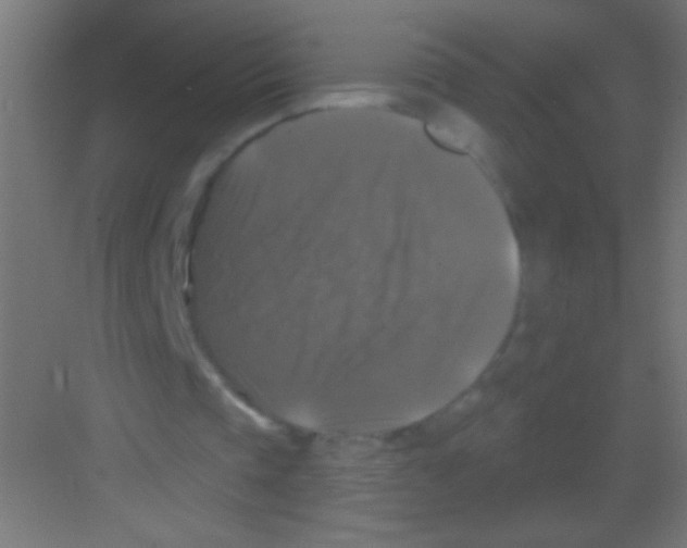 X0000081360337200702082326