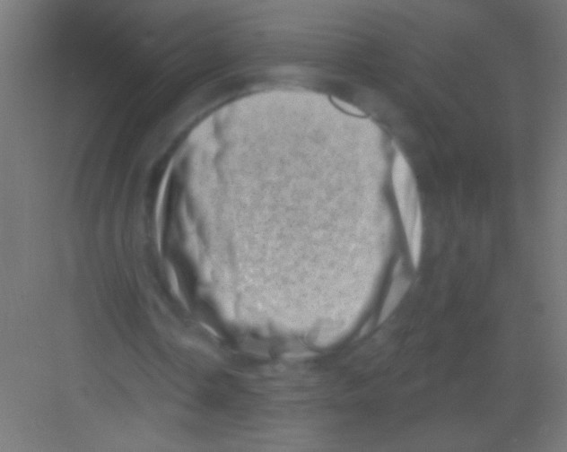 X0000081360338200702082326