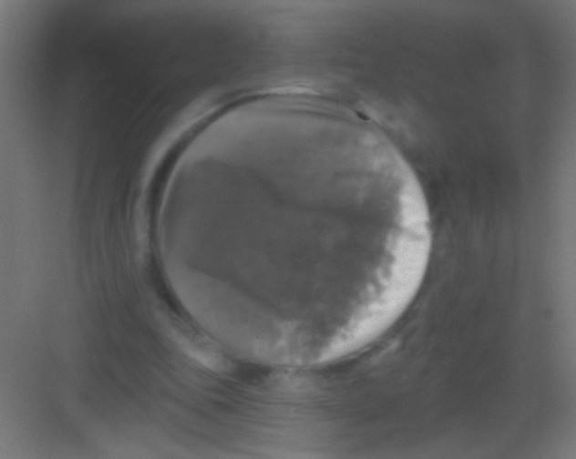 X0000081360343200702082326