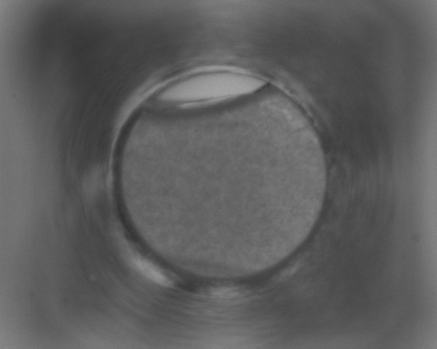 X0000081360344200702082326
