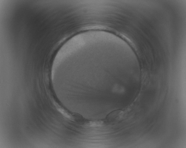 X0000081360345200702082326
