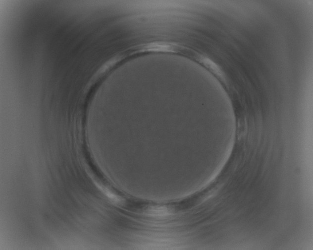 X0000081360349200702082326