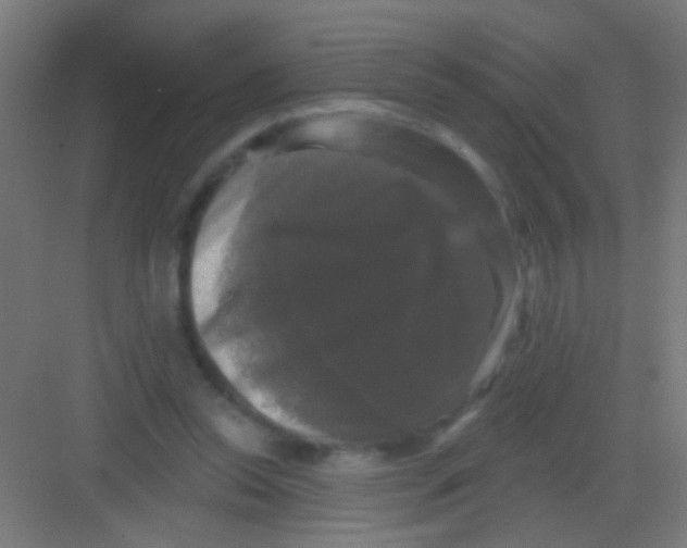 X0000081360350200702082326