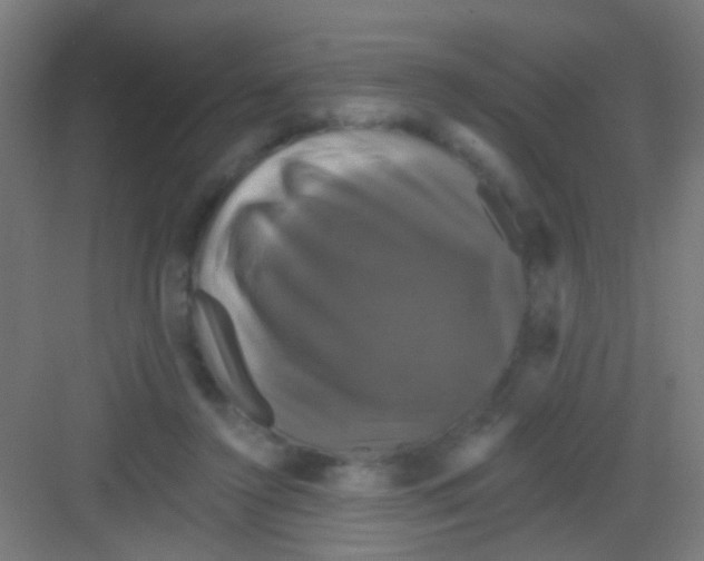 X0000081360356200702082326