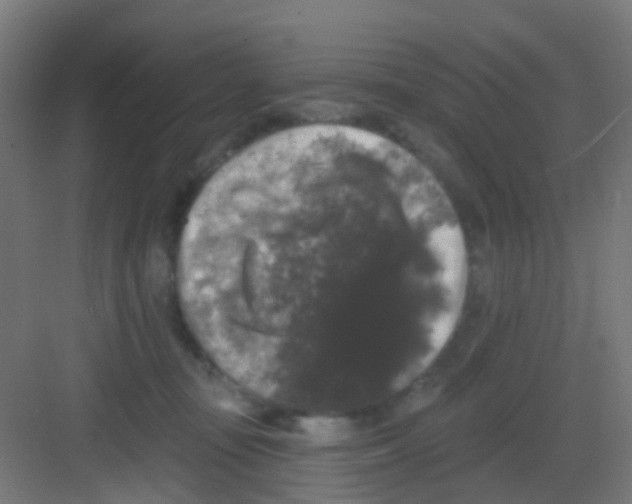 X0000081360371200702082326