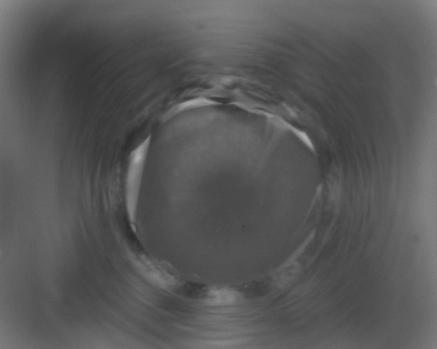 X0000081360376200702082326