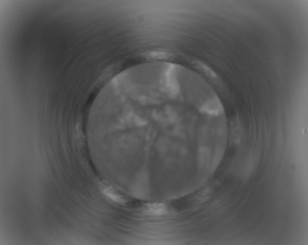 X0000081360377200702082326