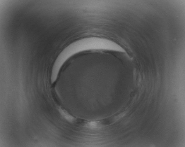X0000081360382200702082327