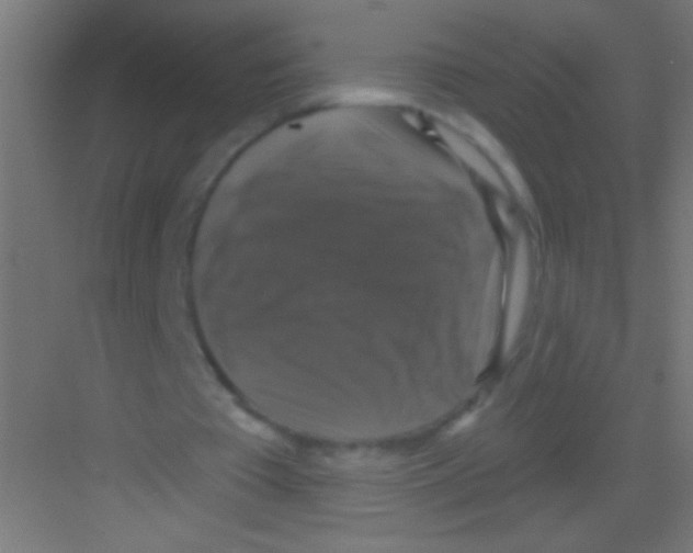 X0000081360385200702082326