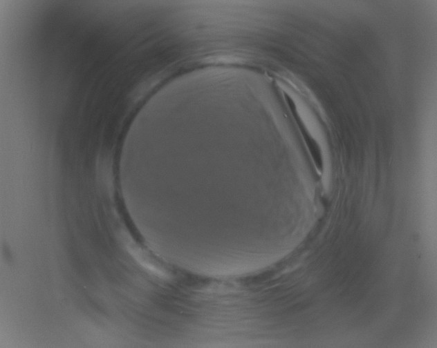 X0000081360386200702082326
