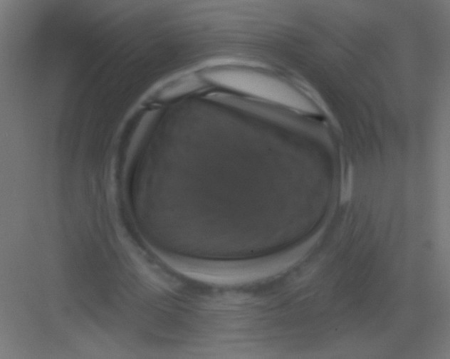 X0000081360387200702082326