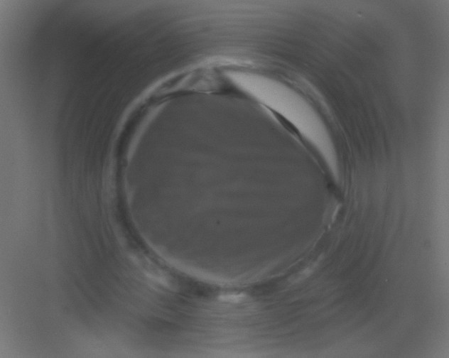 X0000081360388200702082326