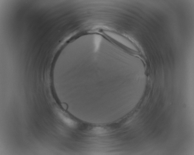 X0000081360390200702082326