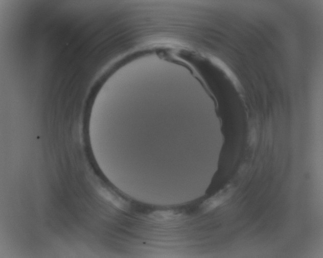X0000081360391200702082326