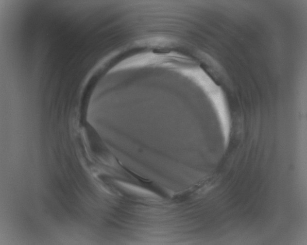 X0000081360392200702082326