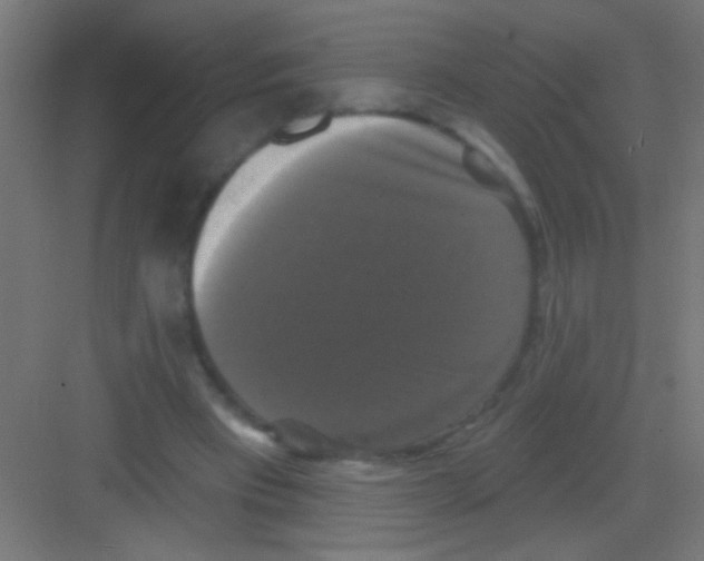 X0000081360393200702082326
